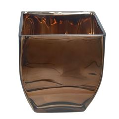 Palito Gina 100 Unidades